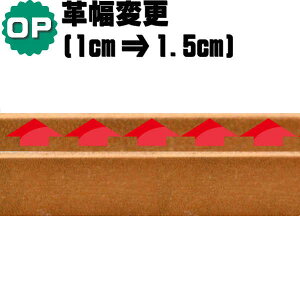 v ύX IvV (1cm1.5cm) IvVƂȂ܂̂ŁAցA[hA2[ĥꂩ̓wKvł  v TCY   vύX JX^}CY JX^