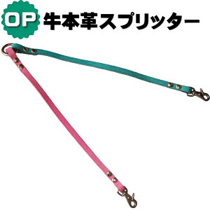 [h  v IvV {v Xvb^[ ^ ^ ^ OPTION IvV   [h 2[h 񓪈    U I[_[Ch nhCh JX^}