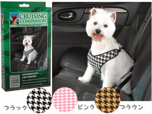 hCupi/AEghA hCun[lX -SA