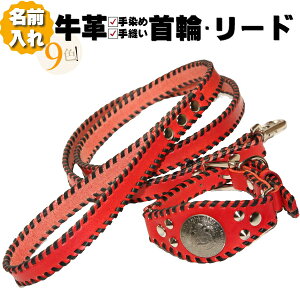 犬 首輪 リードセットの人気商品 通販 価格比較 価格 Com