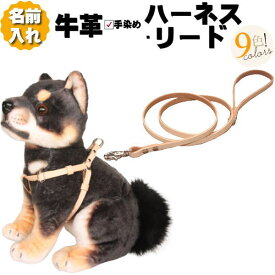 犬 ハーネス 胴輪 リード セット 革 名入れ ネーム入り 本革 ワンタッチ ハーネス付き リードセット 超小型犬 小型犬 中型犬 革幅1cm/1.5cm 犬用リード 名前入り 犬用 リード付き 軽量 軽い 負担が少ない バックル ジョイント 簡単 おしゃれ かわいい 小型 中型 ギフト