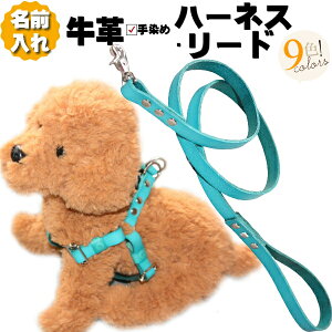  n[lX  [h Zbg v  l[ {v ^b` n[lXt [hZbg ^ ^ ^ v1cm/1.5cm p[h O p [ht y y S