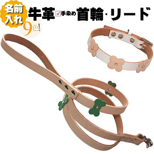   [h Zbg v  l[ {v }`  [hZbg ^ ^ ^ v 1cm/1.5cm  O p[h  y y qh~   Č 