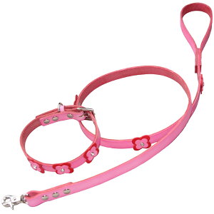   [h Zbg v  l[ {v Rr HTM  [hZbg ^ ^ ^ 1cm/1.5cm O p[h  y qh~  킢 Ȃ  