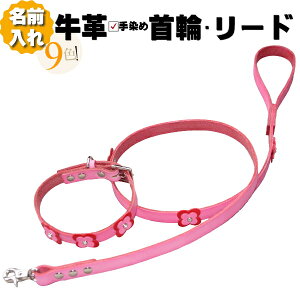   [h Zbg v  l[ {v Rr HTM  [hZbg ^ ^ ^ 1cm/1.5cm O p[h  y qh~  킢 Ȃ  