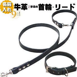   [h Zbg v  l[ {v Jt  JtF [hZbg ^ ^ ^ v1cm/1.5cm p[h hbO[h  O p[h ybg 