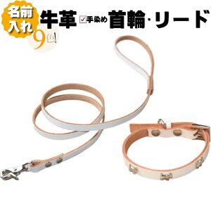   [h Zbg v  l[ {v pE {[  [hZbg ^ ^ ^ v1cm/1.5cm  O p  y y qh~  킢  