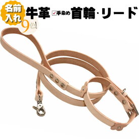 楽天市場 犬 毛 染めの通販