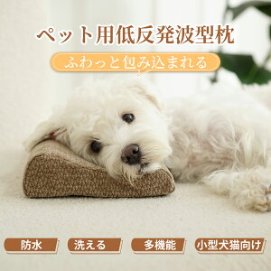 y60offN[|tI12320`z@ybg ̂ VFj[n ᔽE^ EF[u _炩 ܂ p Lp ^ ^ q  ӂӂ H~ ې􂢉\ 27x17x3/5cm 