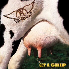 エアロスミス Aerosmith - Get A Grip LP レコード 【輸入盤】