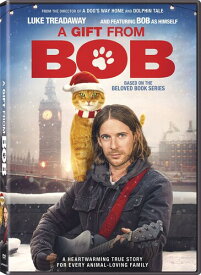 A Gift From Bob DVD 【輸入盤】