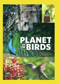 Planet of the Birds DVD 【輸入盤】