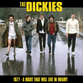 Dickies - A Night That Will Live In Infamy 1977 LP レコード 【輸入盤】