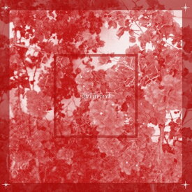 ガールインレッド Girl in Red - Beginnings LP レコード 【輸入盤】
