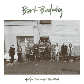 Bart Budwig - Another Burn On The Astroturf CD アルバム 【輸入盤】