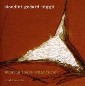 Biondini / Godard - What There What Not CD アルバム 【輸入盤】