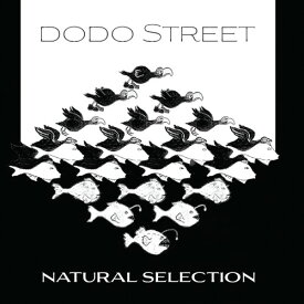 Adams / Dodo Street Band / Byrne - Natural Selection CD アルバム 【輸入盤】