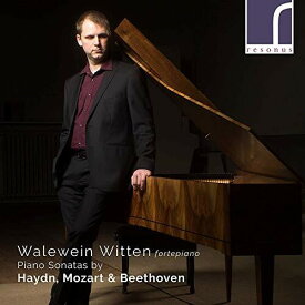 Beethoven / Witten - Piano Sonatas CD アルバム 【輸入盤】