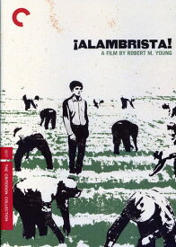 Alambrista! (Criterion Collection) DVD 【輸入盤】