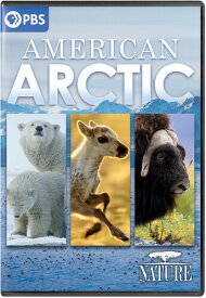 Nature: American Arctic DVD 【輸入盤】