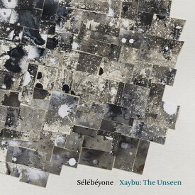 Steve Lehman / Selebeyone - Xaybu: The Unseen LP レコード 【輸入盤】