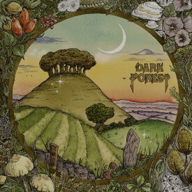 Dark Forest - Ridge ＆ Furrow LP レコード 【輸入盤】