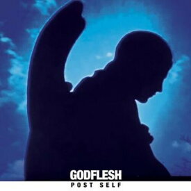 Godflesh - Post Self LP レコード 【輸入盤】