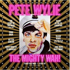 Pete Wylie ＆ the Mighty Wah - Teach Yself Wah! - A Best Of Pete Wylie ＆ The Mighty Wah! LP レコード 【輸入盤】