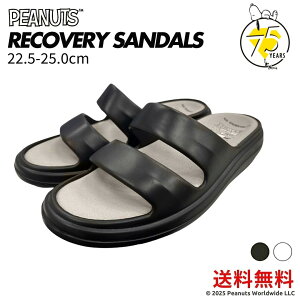 y25NH~VzJo[T_ fB[X Xk[s[ 75N SNOOPY PEANUTS WEARINGON SLIDES   C\[ Ռz J X|[c  O ItBX ^ d ӂ