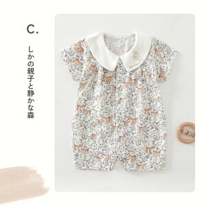 yzԂz50ԎR[}ōꂽ hX^C 3Zbg 360 [O xr[R[f 悾ꂩ oYj X^CZbg ۈ牀 xr[X^C  q 