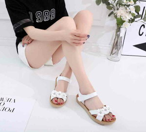 T_ fB[X r[`  i[X ItBX Xbp Xb| ܐ É H ɂ g ₷ {A  lC  U[ ~ C ؂ q[ V[ 