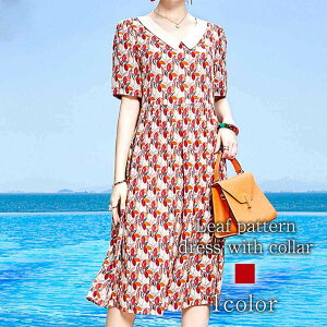 s[X fB[X ݕt[ts[X ꂢ  l 20  uh    t 傫TCY lC 50 [EFA O 킢 pW} AEghA 