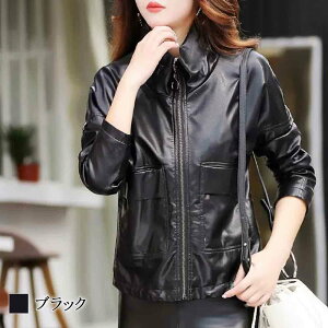 y_N[|p20%OFF!^z C_[XWPbg fB[X X^hJ[U[WPbg XG[h 50 WPbg oCN Ȃ H  U[ 40 ~ 20 ItBX AE