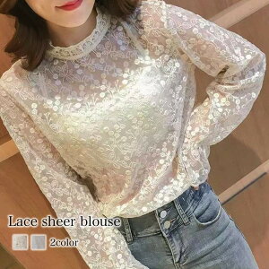 uEX fB[X [XVA[uEX  t i TVc t X[c {E^C s[X lC m[AC H ꂢ  ItBX 50 ~  uh  Vc J