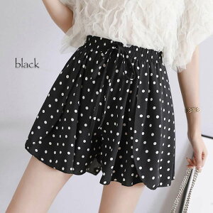 y_N[|p20%OFF!^z V[gpc fB[X hbgV[gpc  t@bV ԕ V[g  X|[c ~j  X|[cEFA  EGA 30 jO