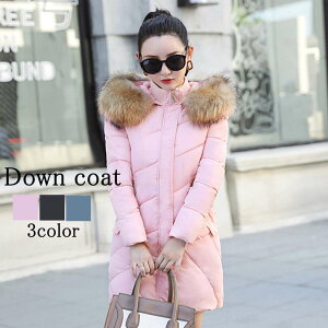 _EWPbg fB[X t@[t[h~h_E    h  ~ 20 uh y 傫TCY O _E Wp[ X _ER[g 40 ꂢ t[h V