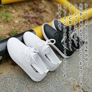 y_N[|p20%OFF!^z Xj[J[ fB[X PUbVXj[J[   y 24.5 LoX t H  ᓹ LeBO V y v Xb| ~ Ȃ 3E 