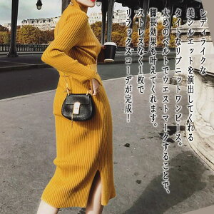 y_N[|p20%OFF!^z s[X fB[X ujbg^Cgs[X AC lbN l ؍ H  傫TCY ꂢ 20 XJ[g O   40 AEghA 