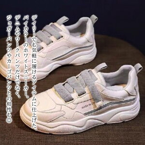 y_N[|p20%OFF!^z Xj[J[ fB[X oCJ[zCgV[Y 3E  {A y 5E ₷ H Xb| 4E   24.5  C V[Y  y V  ~