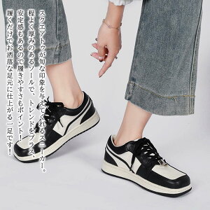 y_N[|p20%OFF!^z Xj[J[ fB[X XNGAgDV[Y y 킢 nCJbg uh 3E sN ᓹ t y   H V[Y L   O[ 