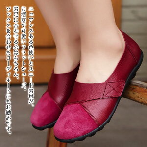 y_N[|p20%OFF!^z Xb| Xj[J[ XG[htbgV[Y [t@[ L  y  t  {A sN H 4E y ₷ y U[ O[ 24.5 