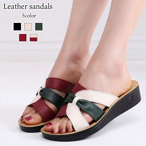 T_ fB[X U[T_ U[ {v g {A  uh C  H r[`  V[Y Xb| U[ ~    Xbp X|[c t lC ɂ q