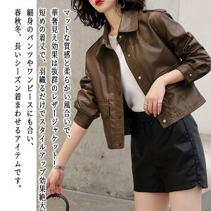 y_N[|p20%OFF!^z C_[XWPbg fB[X V[g䃌U[WPbg oCN H AE^[ Vbg u]  U[WPbg U[ 30 C_[X 50