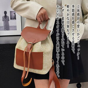 y_N[|p20%OFF!^z bN fB[X RpNgJSbN m[gPC ʊw 50   A4 lp ~ uh rWlX 傫 e ʋ Jo y  y  AEg