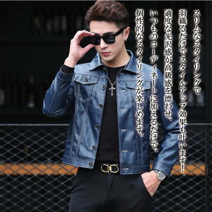 y_N[|p20%OFF!^z C_[XWPbg Y XU[WPbg 50 XG[h WPbg   ~ Vbg 40 t Ȃ v U[ TVc H U[WP