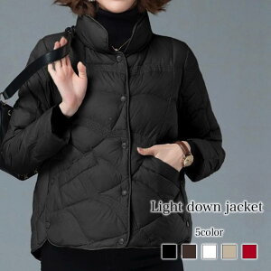 _EWPbg fB[X Cg_EWPbg t[h 40  V[gR[g _E t R[g 傫TCY ~ uh Wp[  y  n[t ꂢ H O