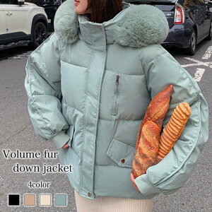 _EWPbg fB[X {[t@[_EWPbg  n[t lC V[gR[g R[g  ~ X h Wp[  40  V[g y uh _E y