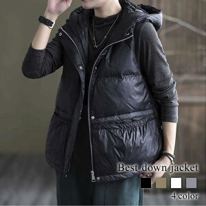 _EWPbg fB[X xXg_EWPbg    h  ~ 20 uh y 傫TCY O _E Wp[ X _ER[g 40 ꂢ t[h V