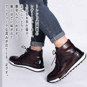 y_N[|p20%OFF!^z u[c Y {vXj[J[ y  {v Ȃ v U[ L [N S h lC [h Zbg t@Xi[ TChWbv h uh H 