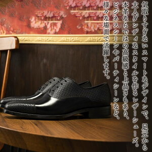 y_N[|p20%OFF!^z rWlXV[Y Y ّfރrWlXV[Y ~ lC uh Ȃ t  R  C h Xg[g`bv V[gu[c ON EH[LO 